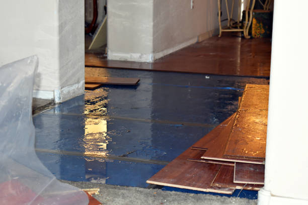 Professional Flood Damage Repair technician working in Luna Pier, MI
